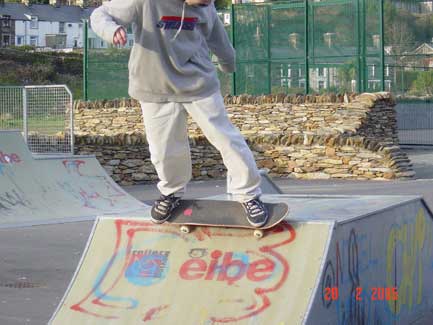 renner skateboards